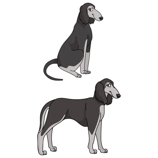 Cute cartoon Saluki dog vector clipart. Pedigree borzoi dog for kennel club. Purebred domestic sighthound puppy training for pet parlor illustration mascot. isolated canine breed. — Stock Vector