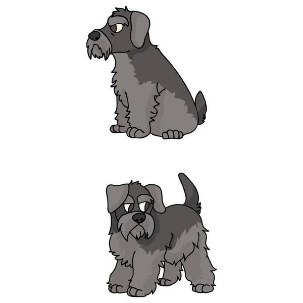 Cute cartoon Schnauzer puppy vector clipart. Pedigree kennel doggie breed for kennel club. Purebred domestic dog training for pet parlor illustration mascot. Isolated canine breed. — Stock Vector