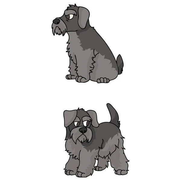 Carino cartone animato Schnauzer cucciolo vettore clipart. Cane da canile di razza pedigree per il club del canile. Allenamento di cani domestici purosangue per pet salone illustrazione mascotte. Razza canina isolata. — Vettoriale Stock