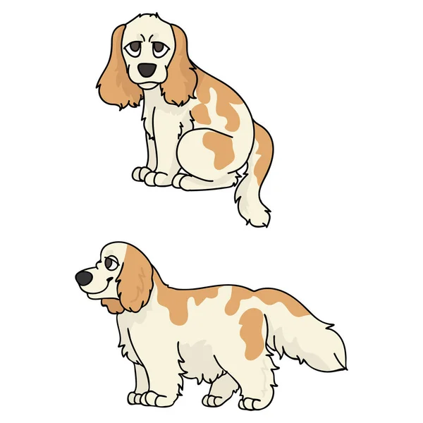 Söt tecknad Cocker Spaniel valp vektor clipart. Hunden kennel hund ras för kennel klubb. Renrasiga tamhund utbildning för sällskapsdjur salong illustration maskot. Isolerad hund ras. — Stock vektor