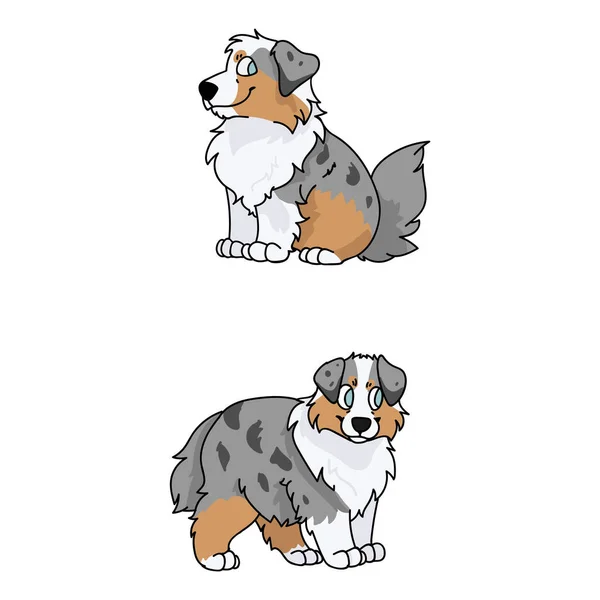 Cute cartoon Australian Shepherd puppy vector clipart. Pedigree farm dog for kennel club. Purebred domestic sheepdog dog training for pet parlor illustration mascot. isolated canine breed. — Stock Vector