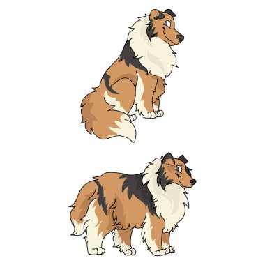 Tatlı çizgi film Rough Collie köpek vektörü klibi. Köpek kulübümüz için soylu köpek yavrusu. Evcil hayvan salonu illüstrasyon maskotu için safkan evcil köpek yavrusu eğitimi. İzole köpek cinsi.. 