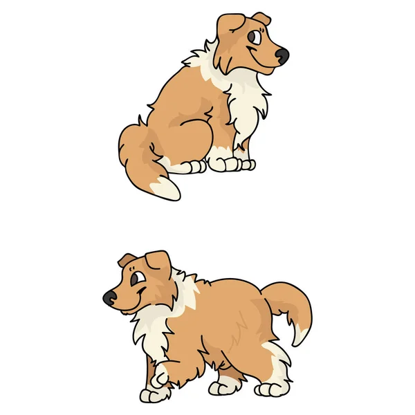 Cute cartoon Rough Collie puppy vector clipart. Pedigree kennel doggie breed for kennel club. Purebred domestic dogs training for pet parlor illustration mascot. Isolated canine breed. — Stock Vector