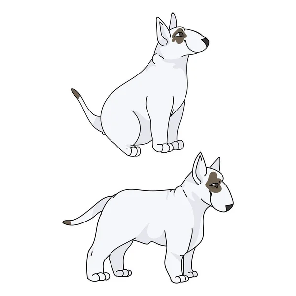 Aranyos rajzfilm Bull Terrier kiskutya vektor előfizető. Törzskönyvezett kutyatenyésztés a kennel klubban. Fajtatiszta hazai kutyák edzés kisállat szalon illusztráció kabala. Elszigetelt kutyafajta. — Stock Vector