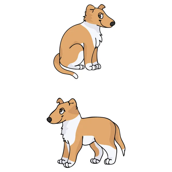 Χαριτωμένο κινούμενο σχέδιο Smooth Collie κουτάβι διάνυσμα κλιπ. Γενεαλογικό σκυλόσπιτο ράτσα για το Κενέλ Κλαμπ. Καθαρόαιμος εγχώρια σκυλιά κατάρτισης για κατοικίδιο ζώο σαλόνι εικονογράφηση μασκότ. Μεμονωμένη φυλή σκύλων. — Διανυσματικό Αρχείο