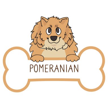 Yakalı köpek künyesi vektör klipinde şirin bir Pomeranian çizgi filmi. Hayvan kimliği için safkan köpek kimlik madalyası. Evcil köpeğe karşı evcil köpek.. 