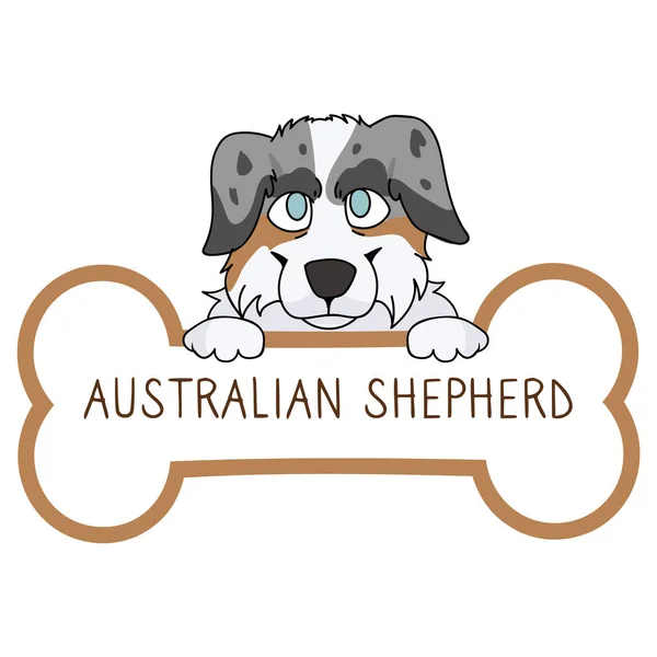 Yakalı köpek künyesi vektörlü şirin çizgi film Avustralya çoban köpeği. Hayvan kimliği için safkan köpek kimlik madalyası. Evcil köpeğe karşı evcil köpek.. — Stok Vektör
