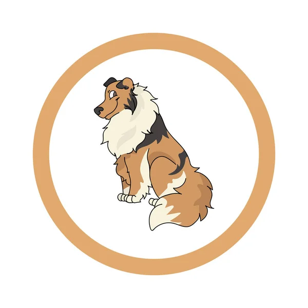 Leuke cartoon Scootish Collie in puntige cirkel hond vector clipart. Stamboom kennel doggie ras voor kennel club. Gefokte hond training voor huisdier salon. Illustratie mascotte. Geïsoleerde hond. — Stockvector