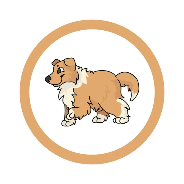 Desenhos animados bonitos Scootish Collie em círculo dotty clipart vetor filhote de cachorro. Pedigree canil raça canil para clube de canil. Treinamento de cães domésticos de raça pura para pet parlor. Mascote de ilustração. Caninos isolados. —  Vetores de Stock