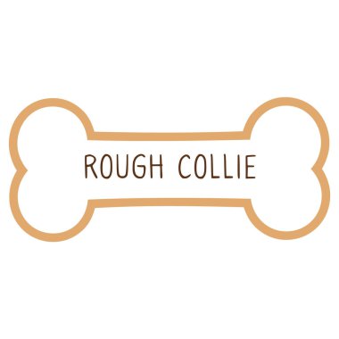 Cute cartoon Scottish Collie text on collar dog tag vector clipart. Purebred doggy identification medal for pet id. Domestic dog for pet pooch.  clipart