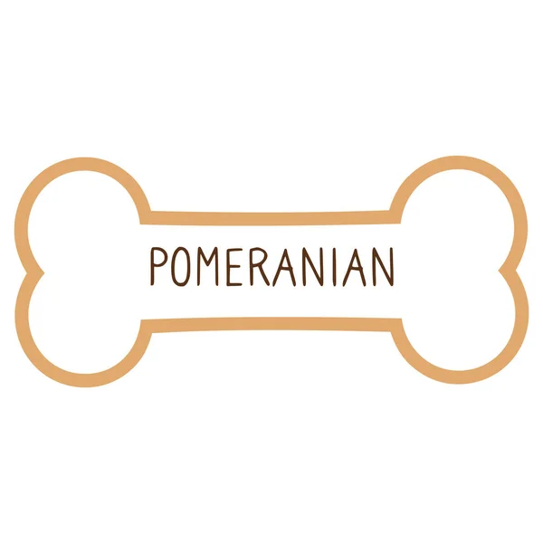 Yakalı köpek künyesi vektör klipinde Pomeranian metni. Hayvan kimliği için safkan köpek kimlik madalyası. Evcil köpeğe karşı evcil köpek.. — Stok Vektör