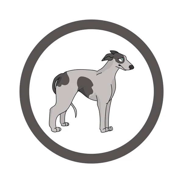 Roztomilý kreslený Greyhound v tečkovaném kruhu psích vektorových klipartů. Rodokmen chovného psa pro chovatelský klub. Čistokrevný domácí psí trénink na zvířecí salón. Ilustrační maskot. Izolovaný pes. — Stockový vektor