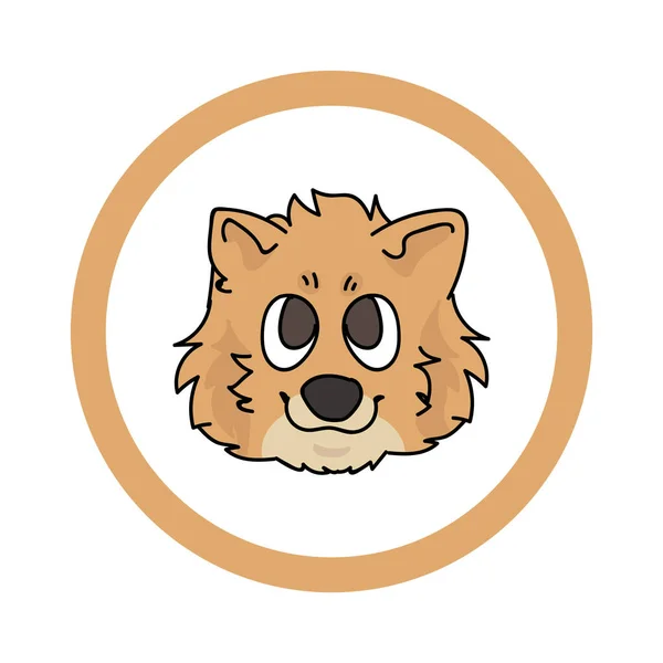 Leuke cartoon Pomeranian gezicht in cirkel puppy vector clipart. Stamboom kennel doggie ras voor kennel club. Gefokte hond training voor huisdier salon. Illustratie mascotte. Geïsoleerde hond. — Stockvector