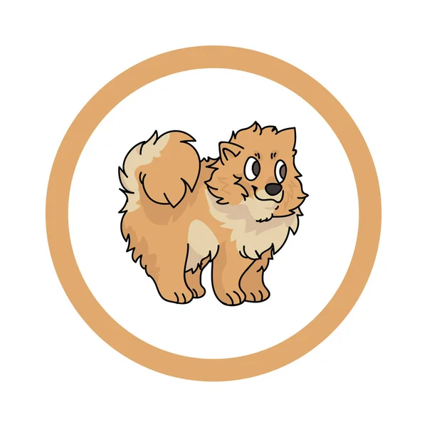 Leuke cartoon Pomeranian in cirkel puppy vector clipart. Stamboom kennel doggie ras voor kennel club. Gefokte hond training voor huisdier salon. Illustratie mascotte. Geïsoleerde hond. — Stockvector