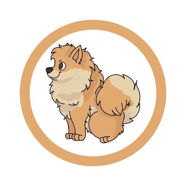 Roztomilý kreslený Pomeranian v kruhu psa vektorové kliparty. Rodokmen chovného psa pro chovatelský klub. Čistokrevný domácí psí trénink na zvířecí salón. Ilustrační maskot. Izolovaný pes. — Stockový vektor