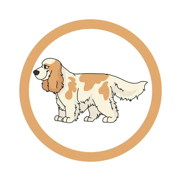 Desenhos animados bonitos Cocker Spaniel em círculo clipart vetor cão. Pedigree canil raça canil para clube de canil. Treinamento de cães domésticos de raça pura para pet parlor. Mascote de ilustração. Caninos isolados. —  Vetores de Stock