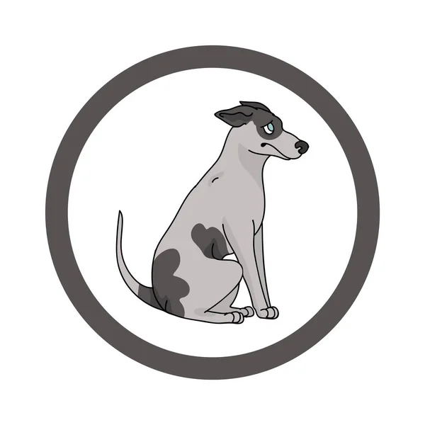 Roztomilý kreslený Greyhound v tečkovaném kruhu psích vektorových klipartů. Rodokmen chovného psa pro chovatelský klub. Čistokrevný domácí psí trénink na zvířecí salón. Ilustrační maskot. Izolovaný pes. — Stockový vektor