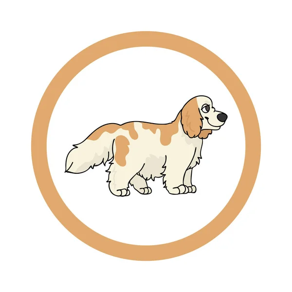 Cute cartoon Cocker Spaniel in circle puppy vector clipart. Pedigree kennel doggie breed for kennel club. Purebred domestic dog training for pet parlor. Illustration mascot. Isolated canine. — Stock Vector