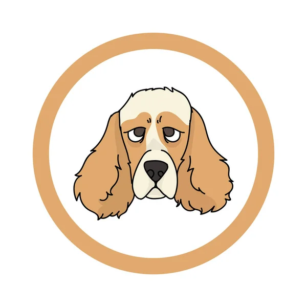 Niedliche Cartoon Cocker Spaniel Gesicht im Kreis Hund Vektor Cliparts. Rassehundezucht für Zuchtverein. Reinrassige Haushaltshundeausbildung für die Zoohandlung. Illustration Maskottchen. Isolierter Eckzahn. — Stockvektor