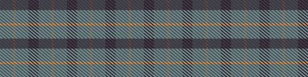 Seamless background gingham tartan fabric gender neutral border. Simple traditional highland flannel print banner. Scottish retro plaid edging fashion trim. — Stock Vector