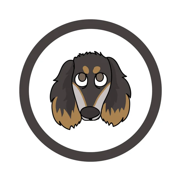 Cute cartoon Saluki in circle puppy vector clipart. Pedigree kennel doggie breed for kennel club. Purebred domestic dog training for pet parlor. Illustration mascot. Isolated canine. — Stock Vector