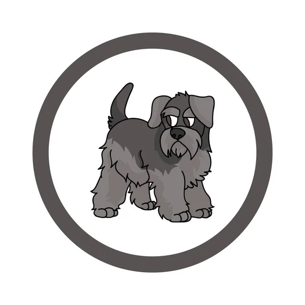 Bonito desenho animado Schnauzer em círculo filhote de cachorro clipart vetor. Pedigree canil raça canil para clube de canil. Treinamento de cães domésticos de raça pura para pet parlor. Mascote de ilustração. Caninos isolados. —  Vetores de Stock