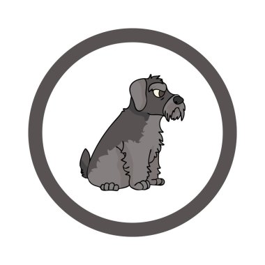 Cute cartoon Schnauzer in circle puppy vector clipart. Pedigree kennel doggie breed for kennel club. Purebred domestic dog training for pet parlor. Illustration mascot. Isolated canine.  clipart