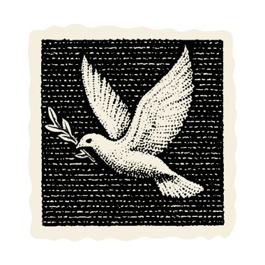 Hristiyan inancı Noah 'ın kutsal kitap çalışması için umut sembolü Siyah ve Beyaz vektör çizim motifi. El çizimi kutsal ruh kutsal barış güvercini zeytin dalı amblemi.