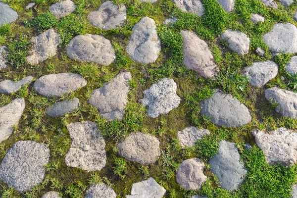Oude Stenen Stoep Met Groen Gras Abstract Achtergrond Van Stenen — Stockfoto