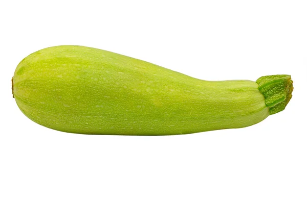 Zucchini Merg Geïsoleerd Witte Achtergrond Lichte Variëteit Van Courgettes Doel — Stockfoto