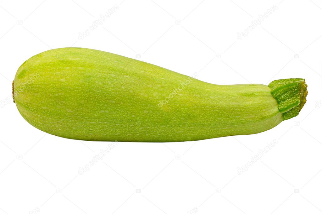 zucchini marrow isolated on white background. light variety of zucchini. Object for project and design.