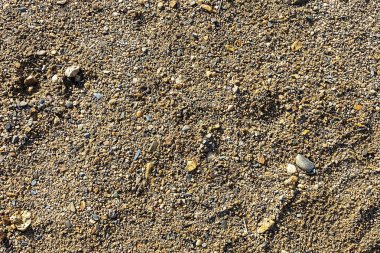 Kirli yere küçük çakıl kaya ile yüzey doku detay.
