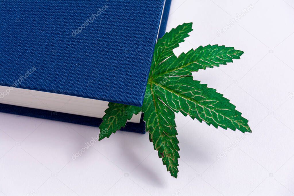 Blue book on a white background. Cannabis leaf in a book. Concept.
