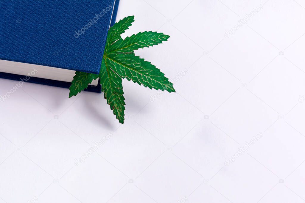 Blue book on a white background. Cannabis leaf in a book. Copy space. Concept.