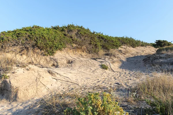 Linha costeira de Dune — Fotografia de Stock