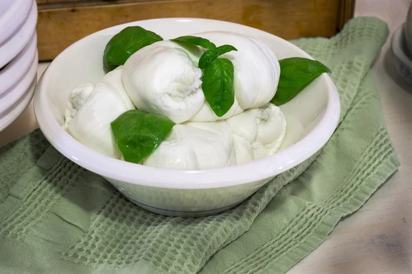 Italiensk ost kallas mozzarella med färsk basilika — Stockfoto