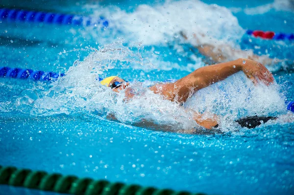 Rückenschwimmer — Stockfoto