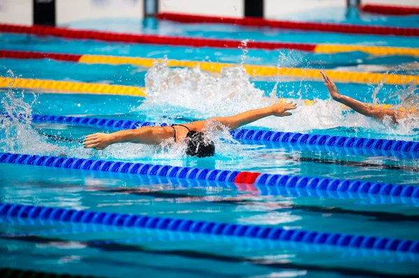 Gara di nuoto delle farfalle — Foto Stock