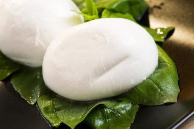 taze İtalyan peynir mozzarella denilen 