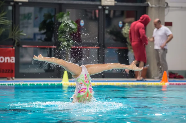 Gesynchroniseerde zwemmer — Stockfoto