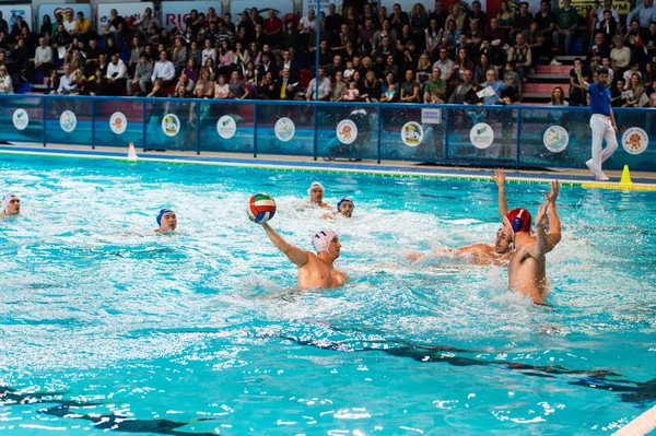 Jugador de waterpolo en la piscina Fotos De Stock Sin Royalties Gratis