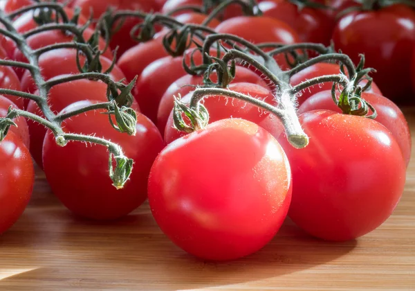 Rijpe verse cherry tomaten op tak — Stockfoto