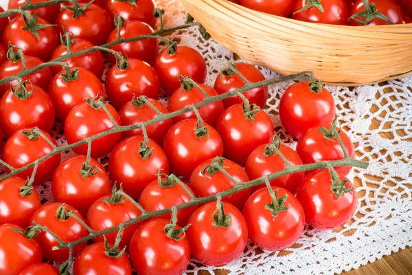 Rijpe verse cherry tomaten op tak — Stockfoto