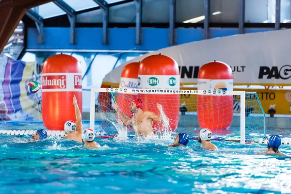 Portero de waterpolo —  Fotos de Stock