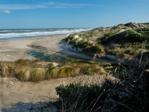 Piscine d'eau dans les dunes de sable — Photo