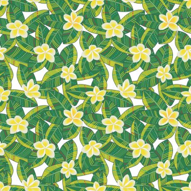 Frangipani seamless modeli