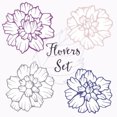 Vektör çiçek kümesi. Vektör çiçek öğeleri