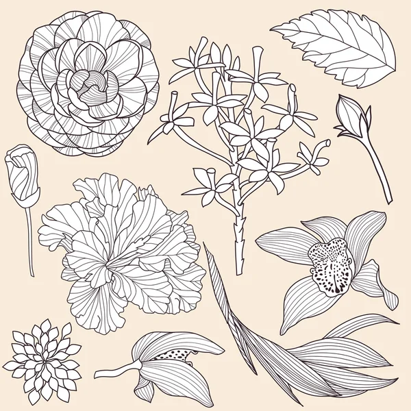 Σύνολο τροπικά λουλούδια διάνυσμα — Διανυσματικό Αρχείο