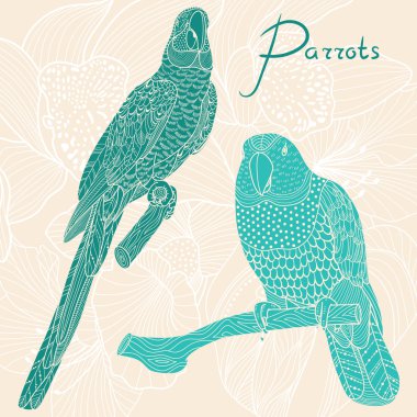 İki papağan. Vektör çizim