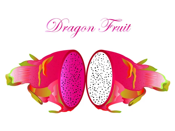 Спелые плоды дракона — стоковый вектор